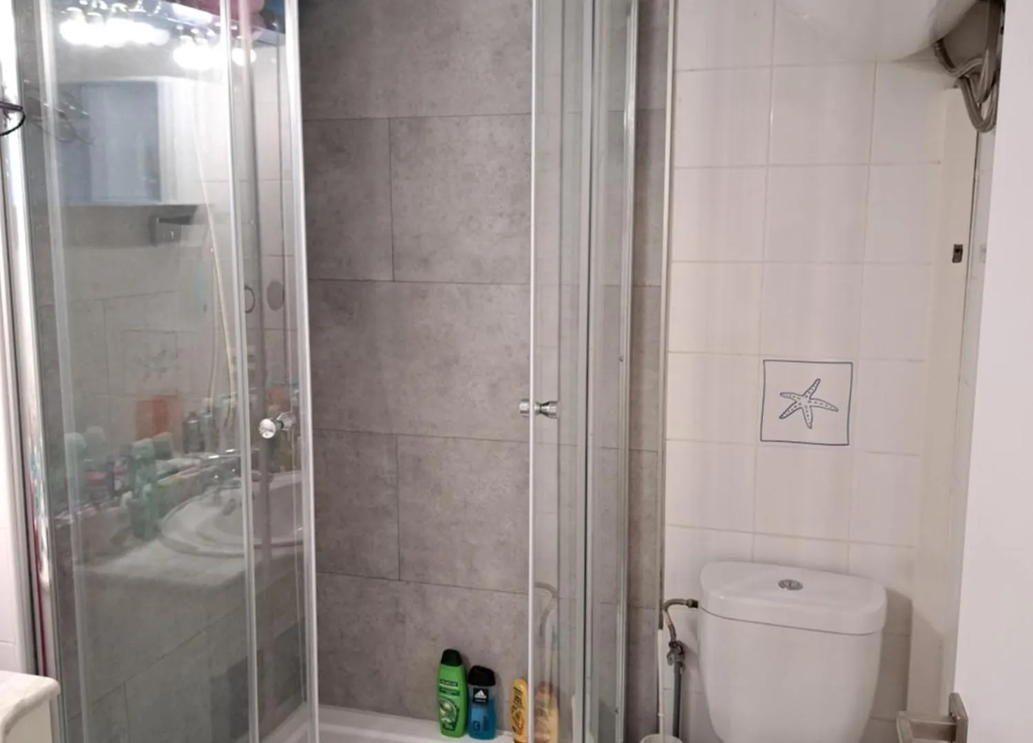 Apartment Appartement 4 A 6 Pers Premiere Ligne De La Mer Empuriabrava